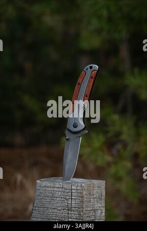 Jagd-Klappmesser im Wald im Hintergrund Stockfoto