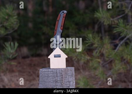 Messer und Modell des Hauses auf Holzstumpf im Wald Stockfoto