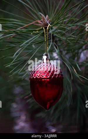 Weihnachtsdekoration auf einer Kiefer Stockfoto