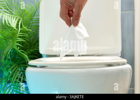 Detail des Handgießens von Toilettenpapier in weiße Keramik-Toilettenschüssel im blauen Badezimmer mit Pflanzen. Vorderansicht. Stockfoto