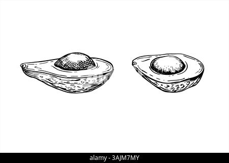 Zwei Hälften Avocado mit Samenvektor isolierte Illustration gemalt mit schwarzer Tinte. Einfarbig geschnittene Fruchtscheiben zum Ätzen von Zeichnungen. Tropisch gesund Stock Vektor