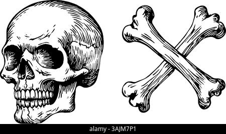 Eine detaillierte Darstellung eines menschlichen Schädels neben zwei überkreuzten Knochen, oft verbunden mit Gefahr oder Piraterie. Der Schädel wird in einer Seitenansicht dargestellt, die seine Merkmale zeigt, während die Knochen stilisiert und symmetrisch sind. Stock Vektor