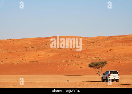 RUB Al Khali Wüste, Sultanat Oman - 6. April 2025: Geländewagen in der Wüste Wahiba Sands bei Sonnenaufgang, Arabische Halbinsel Stockfoto