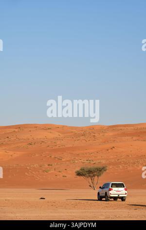 RUB Al Khali Wüste, Sultanat Oman - 6. April 2025: Geländewagen in der Wüste Wahiba Sands bei Sonnenaufgang, Arabische Halbinsel Stockfoto