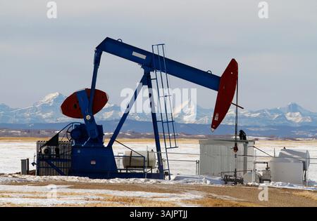 20. Januar 2010 - Calgary, Alberta, Kanada - ein Ölförderer im Besitz von Bonavista Petroleum, der in der Nähe von Airdrie Rohöl pumpt. (Foto: © Larry MacDougal via ZUMA Wire) Stockfoto