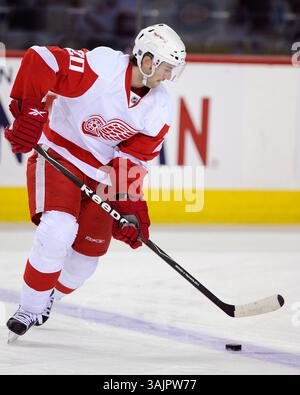März 2010 – Calgary, Alberta, Kanada – Foto des NHL-Spielerprofils auf Drew Miller von Detroit Red Wings während eines Spiels in Calgary. (Foto: © Larry MacDougal via ZUMA Wire) Stockfoto