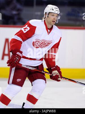März 2010 – Calgary, Alberta, Kanada – Foto des NHL-Spielerprofils auf Detroit Red Wings' Brad Stuart während eines Spiels in Calgary. (Foto: © Larry MacDougal via ZUMA Wire) Stockfoto