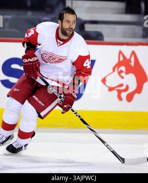 März 2010 – Calgary, Alberta, Kanada – Foto des NHL-Spielerprofils von Todd Bertuzzi in Detroit Red Wings während eines Spiels in Calgary. (Foto: © Larry MacDougal via ZUMA Wire) Stockfoto