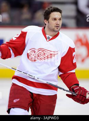 März 2010 - Calgary, Alberta, Kanada - Foto des NHL-Spielerprofils auf Detroit Red Wings' Brett Lebda während eines Spiels in Calgary. (Foto: © Larry MacDougal via ZUMA Wire) Stockfoto