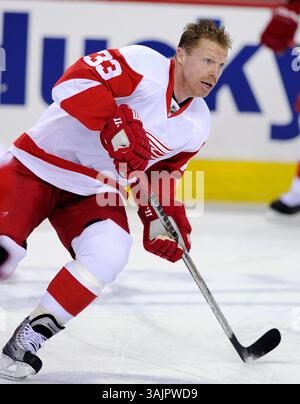 März 2010 – Calgary, Alberta, Kanada – Foto des NHL-Spielerprofils auf Kris Draper von Detroit Red Wings während eines Spiels in Calgary. (Foto: © Larry MacDougal via ZUMA Wire) Stockfoto