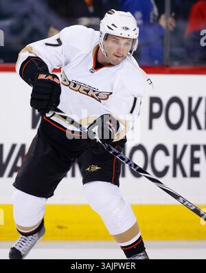 März 2010 - Calgary, Alberta, Kanada - Foto des NHL-Spielerprofils von Anaheim Ducks' Lubomir Visnovsky aus der Slowakei während eines Spiels in Calgary. (Foto: © Larry MacDougal via ZUMA Wire) Stockfoto