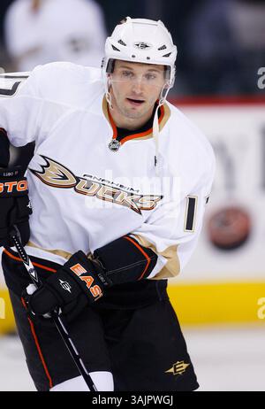 März 2010 - Calgary, Alberta, Kanada - Foto des NHL-Spielerprofils von Anaheim Ducks' Lubomir Visnovsky aus der Slowakei während eines Spiels in Calgary. (Foto: © Larry MacDougal via ZUMA Wire) Stockfoto
