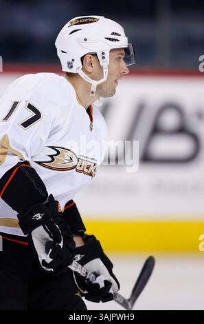 März 2010 - Calgary, Alberta, Kanada - Foto des NHL-Spielerprofils von Anaheim Ducks' Lubomir Visnovsky aus der Slowakei während eines Spiels in Calgary. (Foto: © Larry MacDougal via ZUMA Wire) Stockfoto