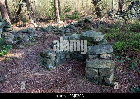 Eine Steinmauer mit einem Loch darin. Die Mauer besteht aus Stein und ist von einem Wald umgeben Stockfoto