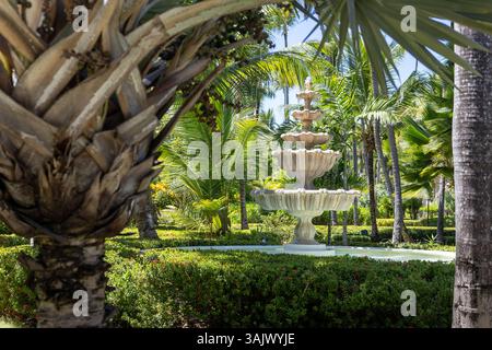 Ein atemberaubender Brunnen steht mitten in einem lebendigen Garten, umgeben von hohen Palmen und verschiedenen tropischen Pflanzen unter der hellen Sonne. Der Peac Stockfoto