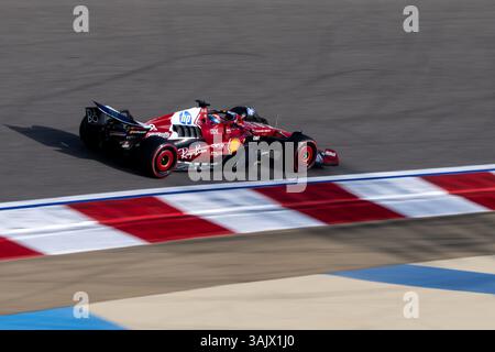Dino Beganovic (Scuderia Ferrari HP, Schweden, #14) im SF-25, BAH, Formel 1 Weltmeisterschaft, Gulf Air Grand Prix von Bahrain, Bahrain International Circuit, Freies Training, Saison 2025, 11.04.2025 Foto: Eibner-Pressefoto/Michael Memmler Stockfoto