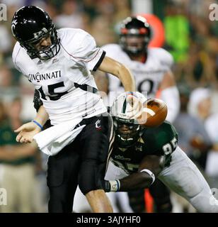 WILLIE J. ALLEN JR. | Zeiten . TP 312209 ALLE BULLS .(10/15/2009 Tampa) Cincinnati Quarterback Tony Pike (15) fummelt nach dem Hit von Defensive End George Selvie (95) im zweiten Quartal des Spiels der University of Cincinnati Bearcats und der University of South Florida Bulls Donnerstag, 15. Oktober 2009 im Raymond James Stadium in Tampa, Fla. Halbzeitstand 17-10 Cincinnati. [WILLIE J. ALLEN JR., Times] (Bild: © St. Petersburg Times/ZUMA Press) Stockfoto