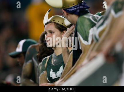 WILLIE J. ALLEN JR. | Zeiten . TP 312209 ALLE BULLS .(10/15/2009 Tampa) Mary Cuthbbrtson (cq) sieht zu, wie ihr Team im vierten Quartal des Spiels der University of Cincinnati Bearcats und der University of South Florida Bulls am Donnerstag, 15. Oktober 2009 im Raymond James Stadium in Tampa, Florida, verliert. Endpunktzahl 34-17 USF verloren. [WILLIE J. ALLEN JR., Times] (Bild: © St. Petersburg Times/ZUMA Press) Stockfoto