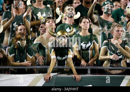 WILLIE J. ALLEN JR. | Zeiten . TP 312209 ALLE BULLS .(10/15/2009 Tampa) traurige USF-Fans beobachten das Spiel am Donnerstag, 15. Oktober 2009 im Raymond James Stadium in Tampa, Florida. Endpunktzahl 34-17 USF verloren. [WILLIE J. ALLEN JR., Times] (Bild: © St. Petersburg Times/ZUMA Press) Stockfoto