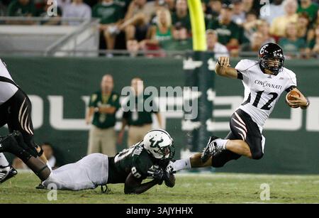 WILLIE J. ALLEN JR. | Zeiten . TP 312209 ALLE BULLS .(10/15/2009 Tampa) Jason Pierre-Paul (90) der USF verlässt den Quarterback Zach Collaros (12) im dritten Quartal des Spiels der University of Cincinnati Bearcats und der University of South Florida Bulls Donnerstag, 15. Oktober 2009 im Raymond James Stadium in Tampa, Fla. [WILLIE J. ALLEN JR., Times] (Credit Image: © St. Petersburg Times/ZUMA Press) Stockfoto