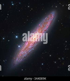 Bildhauer Galaxy (NGC 253), zusammengesetztes Bild. Diese Spiralgalaxie misst etwa 70-80.000 Lichtjahre und liegt 11 Millionen Lichtjahre von der Erde entfernt im Sternbild Bildhauer. Sie gehört zu den nächstgelegenen Galaxien der lokalen Gruppe, die unsere Galaxie enthält. NGC 253 ist eine Sternengalaxie mit sehr starker Sternentstehung und sehr staubigen Spiralarmen. Dieses Bild kombiniert Daten des Hubble Space Telescope und des Subaru Telescope des Nationalen Astronomischen Observatoriums Japans (NAOJ). Stockfoto