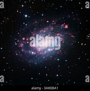 Spiralgalaxie NGC 300. Verbundbild der Spiralgalaxie NGC 300, auch bekannt als C70 (Caldwell 70). Locker geformte Spiralarme, die aus Sternhaufen gebildet werden (blau), sind um den zentralen Kern herum (rot) zu sehen. NGC 300 befindet sich etwa 7 Millionen Lichtjahre von der Erde entfernt im Sternbild Bildhauer und ist Teil der Bildhauergruppe der Galaxien. Aufgenommen von der Europäischen Südsternwarte (ESO). Stockfoto