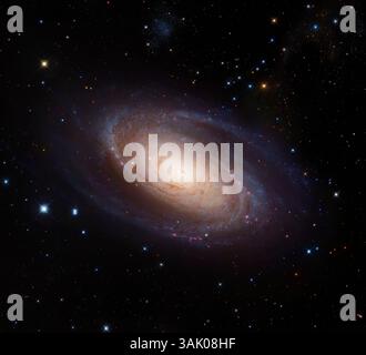 Spiralgalaxie M81, zusammengesetztes Bild. Das gelbe Zentrum zeigt ältere Sterne an, die blauen Bereiche in den Spiralarmen sind heiße, junge Sterne. M81 liegt etwa 12 Millionen Lichtjahre von der Erde entfernt im Sternbild Ursa Major. Das Bild kombiniert Daten des Hubble Space Telescope und des Subaru Telescope des Nationalen Astronomischen Observatoriums Japans (NAOJ). Stockfoto