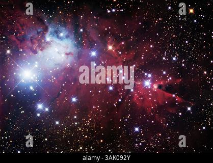 Weihnachtsbaumgruppe (NGC 2264) Stockfoto