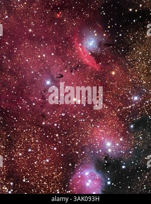 Emissionsnebel (NGC 6559), optisches Bild. Emissionsnebel sind Gas- und Staubwolken, die durch Strahlung heißer Sterne in ihnen ionisiert werden und sie rot leuchten lassen. Um die hellen Sterne herum befinden sich Bereiche mit Reflexionsnebulosität, in denen feine Staubpartikel das Licht der Sterne reflektieren. Diese Bereiche erscheinen blau, da kurzwelliges blaues Licht mehr als rot streut. Es gibt auch dunkle Staubspuren, die sich gegen den hellen Nebel bilden. Dieser Nebel liegt 5000 Lichtjahre von der Erde entfernt im Sternbild Sagittarius. Stockfoto