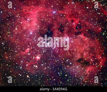 Kaulquetschnebel (IC 410), optisches Bild. Der Tadpolnebel ist ein Emissionsnebel, eine Wolke aus Gas und Staub, die rot leuchtet, da das Wasserstoffgas darin durch Strahlung des Sternhaufens in seinem Zentrum ionisiert wird (NGC 1893, unteres Zentrum). Die Kaulquappen des Namens des Nebels befinden sich unten links. Das sind dichte Gas- und Staubkugeln, in denen sich neue Sterne bilden. Der Strahlungsdruck des Clusters hat einen Großteil des umgebenden Materials weggeblasen, sodass sie lange Schwänze auf der Seite haben, die vom Cluster weg zeigt. IC 410 liegt etwa 12.000 Lichtjahre von der Erde entfernt im Sternbild Auriga. Stockfoto