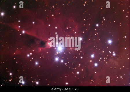 Kegelnebel (NGC 2264). Der Nebel ist nach dem dunklen Staubkegel auf der linken Seite benannt. Diese Silhouetten bilden den hellen Emissionsnebel, der rot leuchtet, da das darin enthaltene Wasserstoffgas durch Strahlung von heißen jungen Sternen ionisiert wird, die sich im Nebel gebildet haben. Dieser Nebel liegt etwa 2600 Lichtjahre von der Erde entfernt im Sternbild Monoceros. Stockfoto