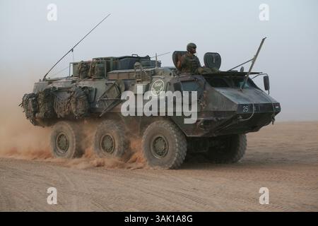 21. September 2009: Tarin Kowt, Uruzgan, Afghanistan: Niederländisches Militär auf Patrouille in Uruzgan. Die niederländischen ISAF-Truppen kontrollieren zusammen mit den australischen Truppen Tarin Kowt und Derah Wod. Außerhalb der beiden Hauptstädte gibt es mehrere kleinere Militärposten, die regelmäßig versorgt werden müssen. Dies geschieht durch Konvois von etwa 15 Fahrzeugen und 50 Marinesoldaten. (Bild: © Ton Koene/ZUMA Press) Stockfoto