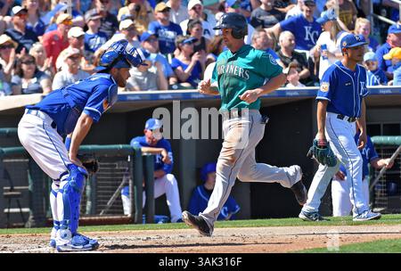 16. März 2017 - Surprise, AZ, USA - die Seattle Mariners' Tuffy Gosewisch treffen am Donnerstag, den 16. März 2017, auf einer Opferfliege von Jarrod Dyson im zweiten Inning während des Frühjahrstrainings in Surprise, Ariz. Zwischen Drew Butera und dem Startkrug Jason Vargas. Die Mariners haben mit 9:2 gewonnen. (Bild: © John Sleezer/TNS via ZUMA Wire) Stockfoto