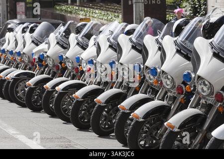 15. April 2017: Seattle, Washington/King County, Vereinigte Staaten – Seattle, Washington: Eine Reihe von Motorrädern der Polizei von Seattle reihte sich bei der Kundgebung am Henry M. Jackson Federal Building an. Hunderte von Demonstranten nahmen an der Steuermarsch Seattle Teil, einer Kundgebung und einem schwestermarsch zum nationalen Steuermarsch, der in über 180 Gemeinden in den USA stattfindet. Aktivisten fordern, dass Präsident Trump seine Steuererklärungen veröffentlicht und seine Geschäftsbeziehungen, finanziellen Beziehungen und möglichen Interessenkonflikte offenlegt. Ein weiteres Ziel des Protestes ist es, die Aufmerksamkeit auf das regressive Steuergesetz von Washington stateâ zu lenken. (Cred Stockfoto