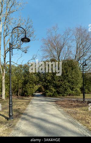 Ein klarer, von Straßenlaternen gesäumter Weg führt durch üppiges Grün in einem ruhigen Park. Stockfoto