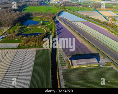 Blick aus der Vogelperspektive auf einen einzigartig gestalteten Park mit Rundwegen und Teichen, umgeben von bunten landwirtschaftlichen Feldern und umgeben von einem dichten Wald. A St Stockfoto