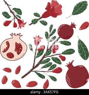 Handgezeichnete Granatapfelillustration mit Früchten, Blumen und Blättern Stock Vektor