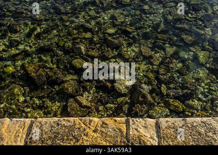 Die Adria vor der Küste von Umag in Istrien, Nordwesten Kroatiens. Blick von der Steinpromenade auf den felsigen Meeresboden im flachen Wasser. Stockfoto