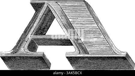 Blumenmuster mit Vintage-Gravur auf dekorativem Brauthandfan-Design. Stock Vektor