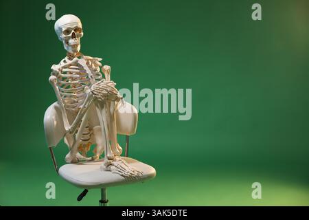 Künstliches menschliches Skelettmodell, das auf Stuhl vor grünem Hintergrund sitzt, Raum für Text Stockfoto