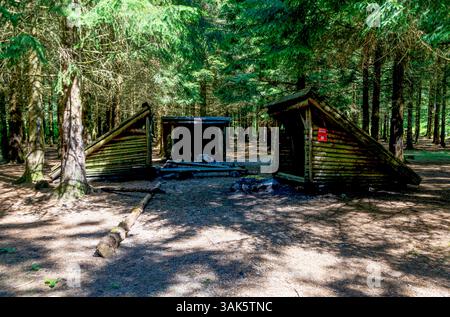 Rustikale Holzhäuser mit Lagerfeuer im üppigen Nadelwald in der Nähe des Dalsnuten Wanderweges, Sandnes, Norwegen, Juni 2018 Stockfoto
