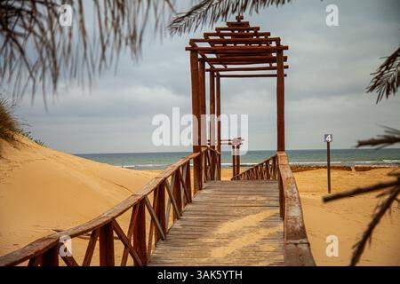 Holzsteg am tropischen Sandstrand Stockfoto