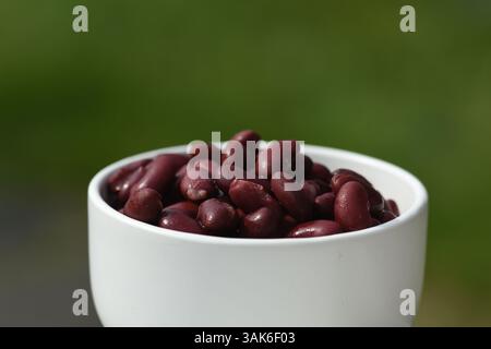 Rote Kidneybohnen in einer weißen Schüssel Stockfoto