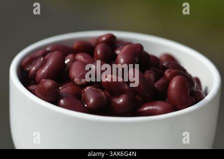 Rote Kidneybohnen in einer weißen Schüssel Stockfoto