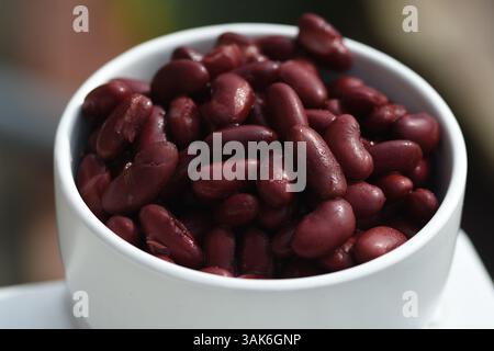 Rote Kidneybohnen in einer weißen Schüssel Stockfoto