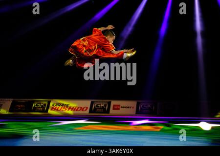 26. März 2017 - Paris, Frankreich - Demonstration von Wushu von CASEY CALABER, 13-jähriger, während des 32. Festivals der Kampfkunst in der AccorHotels Arena in Paris Frankreich (Bild: © Pierre Stevenin Via ZUMA Wire) Stockfoto