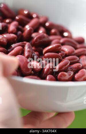 Rote Kidneybohnen in einer weißen Schüssel Stockfoto