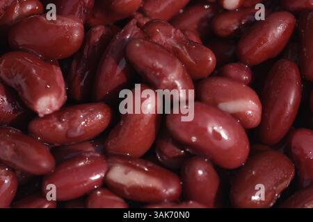 Rote Kidneybohnen in einer weißen Schüssel Stockfoto