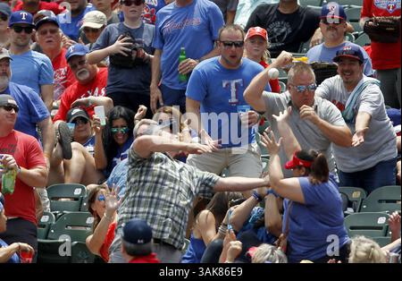 18. Mai 2017 – Arlington, TX, USA – Fans verfolgen einen Foul-Ball während eines Spiels zwischen den Texas Rangers und den Philadelphia Phillies am Donnerstag, den 18. Mai 2017 im Globe Life Park in Arlington, Texas. (Bild: © Khampha Bouaphanh/TNS via ZUMA Wire) Stockfoto