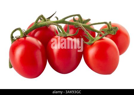 Geclusterte Piccadilly-Tomaten, Kirschtomaten isoliert auf weiß mit Schnittpfad im Preis inbegriffen Stockfoto
